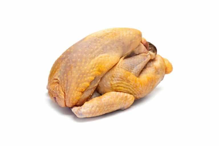 Pintade