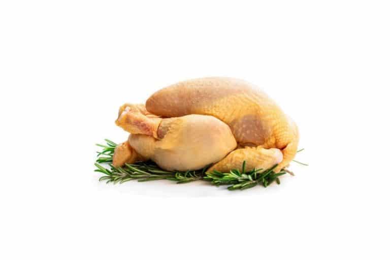 Poulet Jaune Blanc